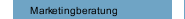 Marketingberatung