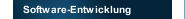 Software-Entwicklung